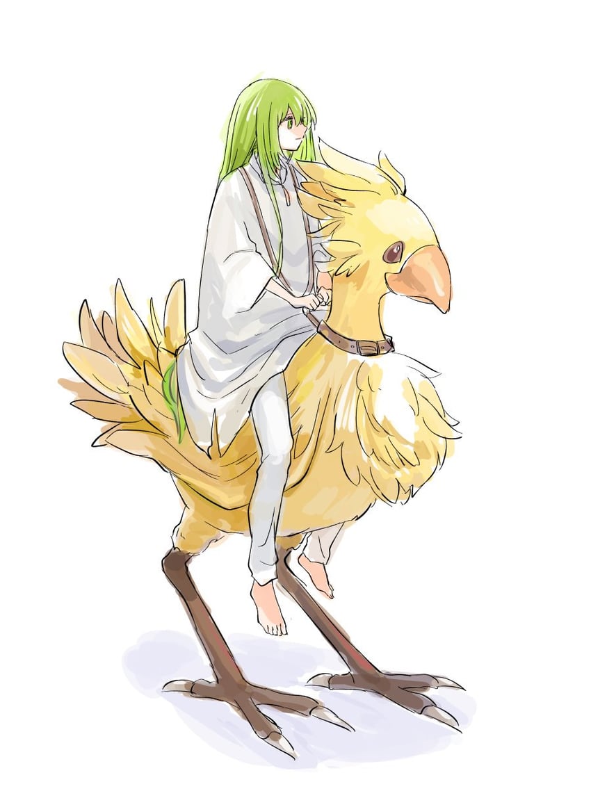 enkidu (fate and 2 more) drawn by himeko_(nico6v6pachi)