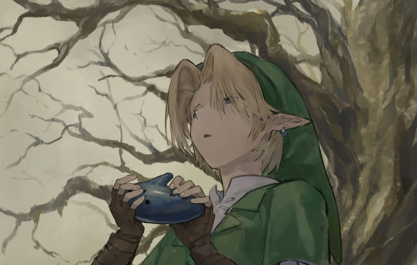 link (the legend of zelda and 1 more) drawn by chenrong96