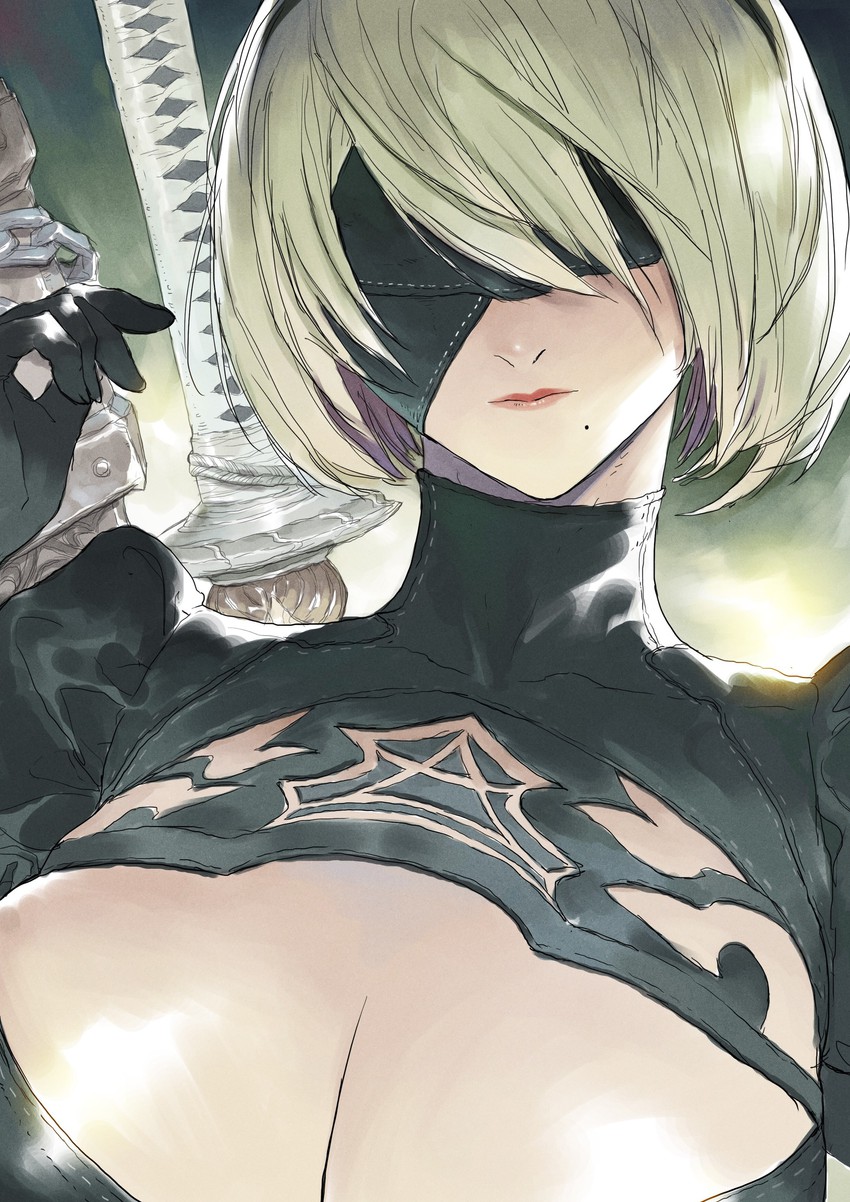 2b (nier and 1 more) drawn by devon_pan