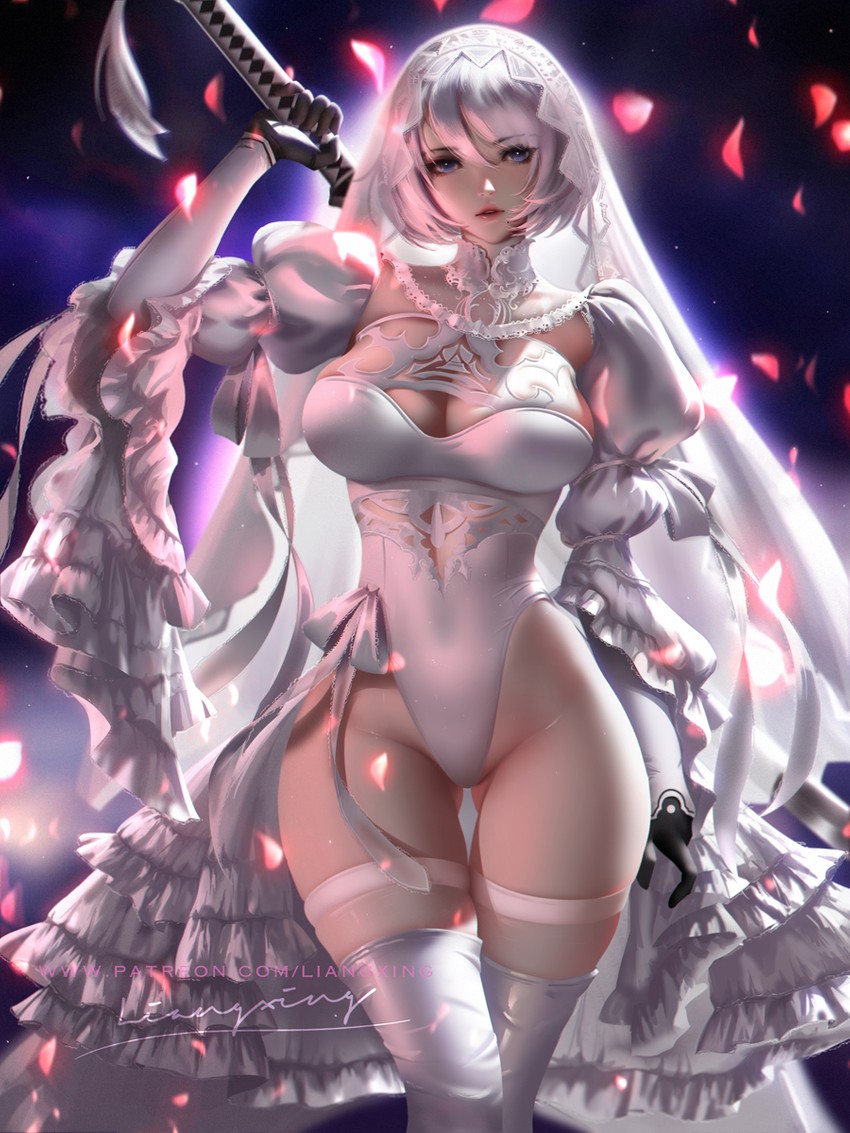 2b (nier and 1 more) drawn by liang_xing