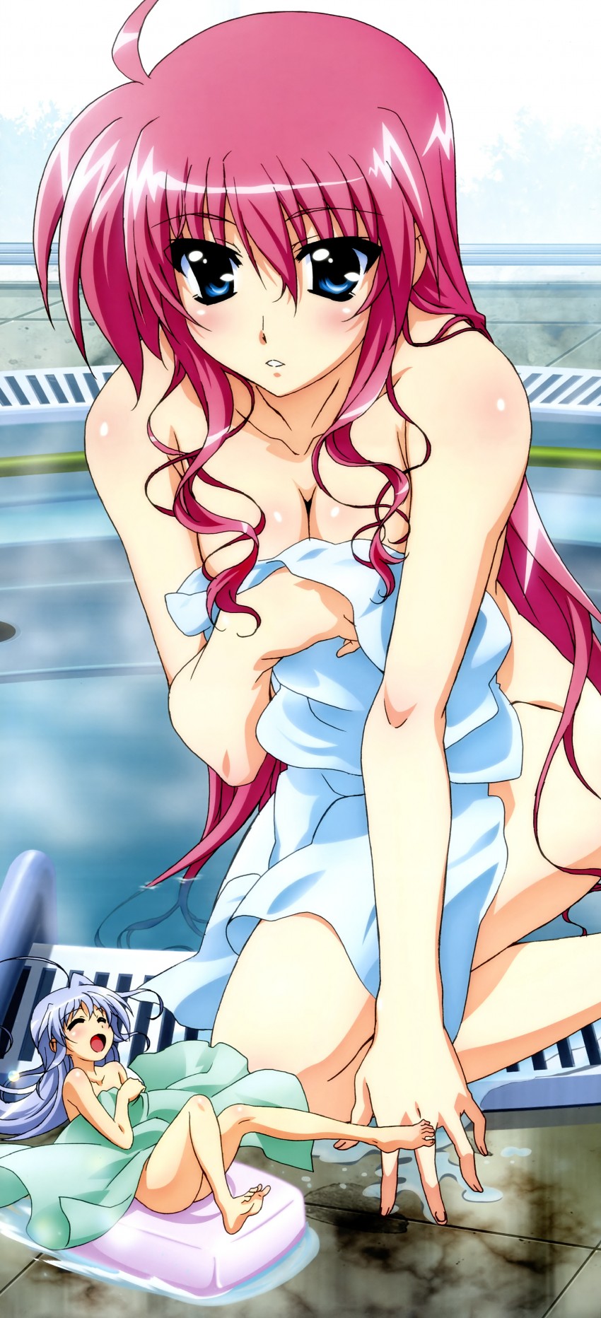 signum and reinforce zwei (lyrical nanoha and 2 more) drawn by hashimoto_takayoshi