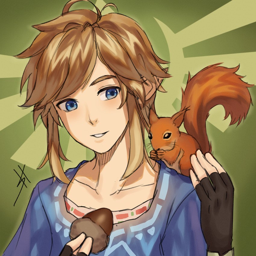 link (the legend of zelda and 1 more) drawn by hirosenpai
