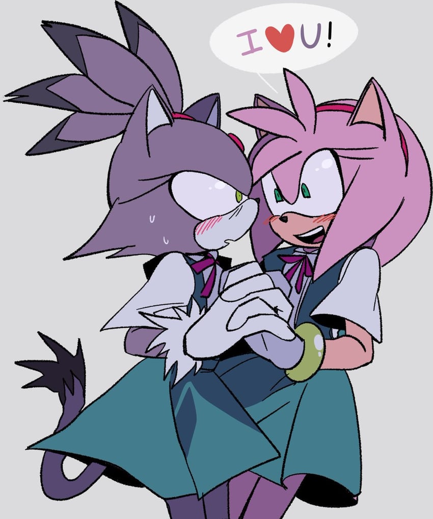 amy rose and blaze the cat (neon genesis evangelion and 1 more) drawn by sonslivshad