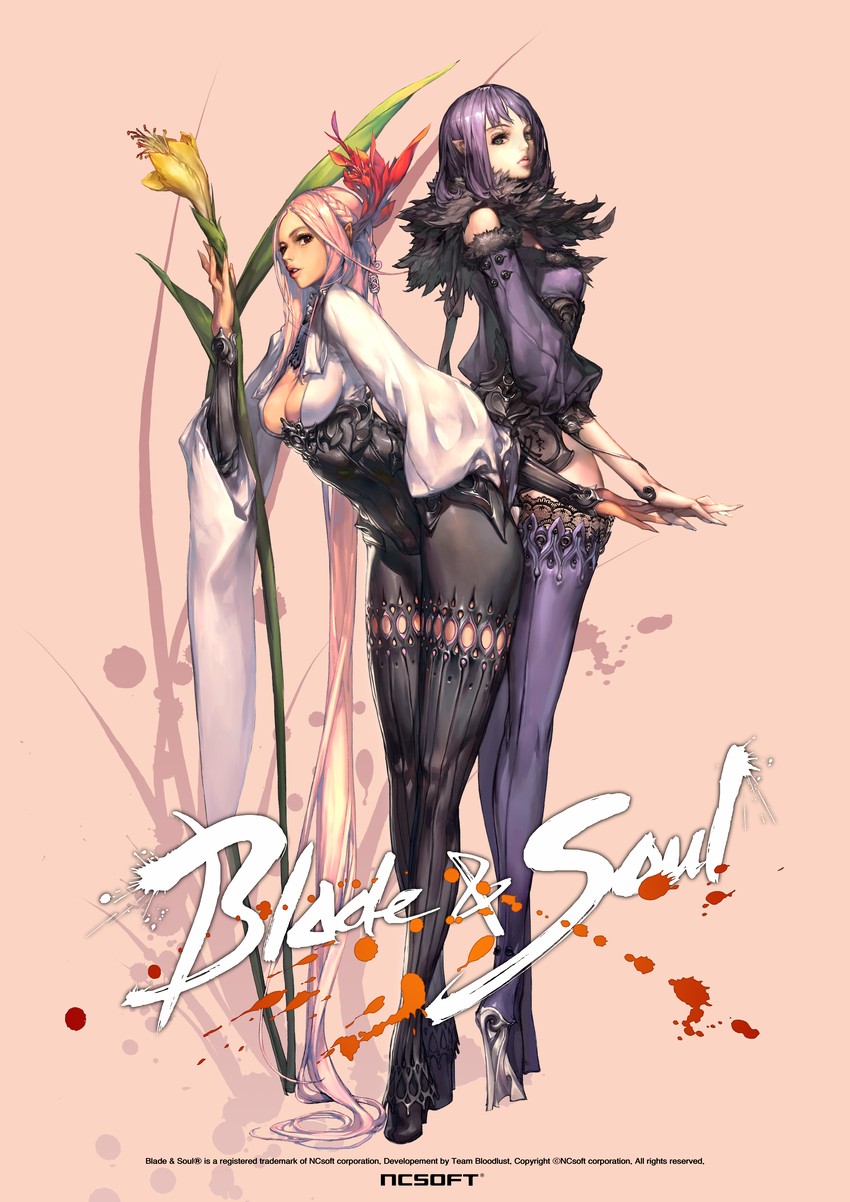 blade & soul drawn by kim_hyung_tae