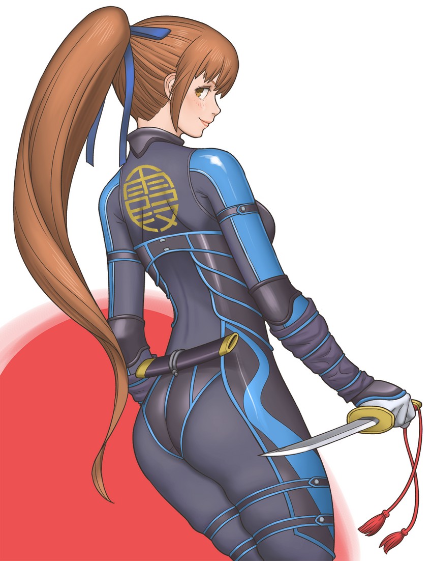 kasumi (dead or alive and 1 more) drawn by shigenobu