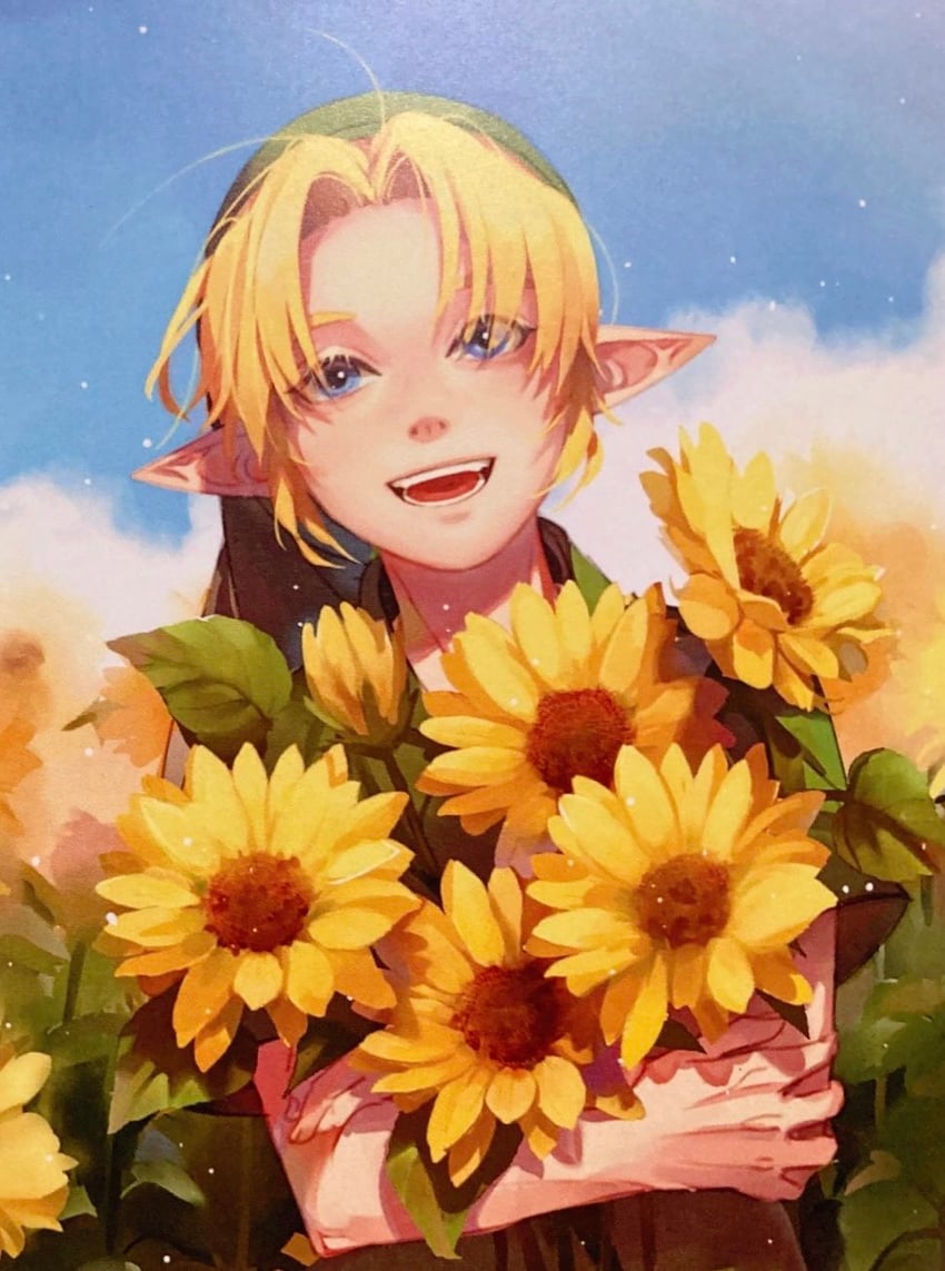 link (the legend of zelda and 1 more) drawn by eorinamo