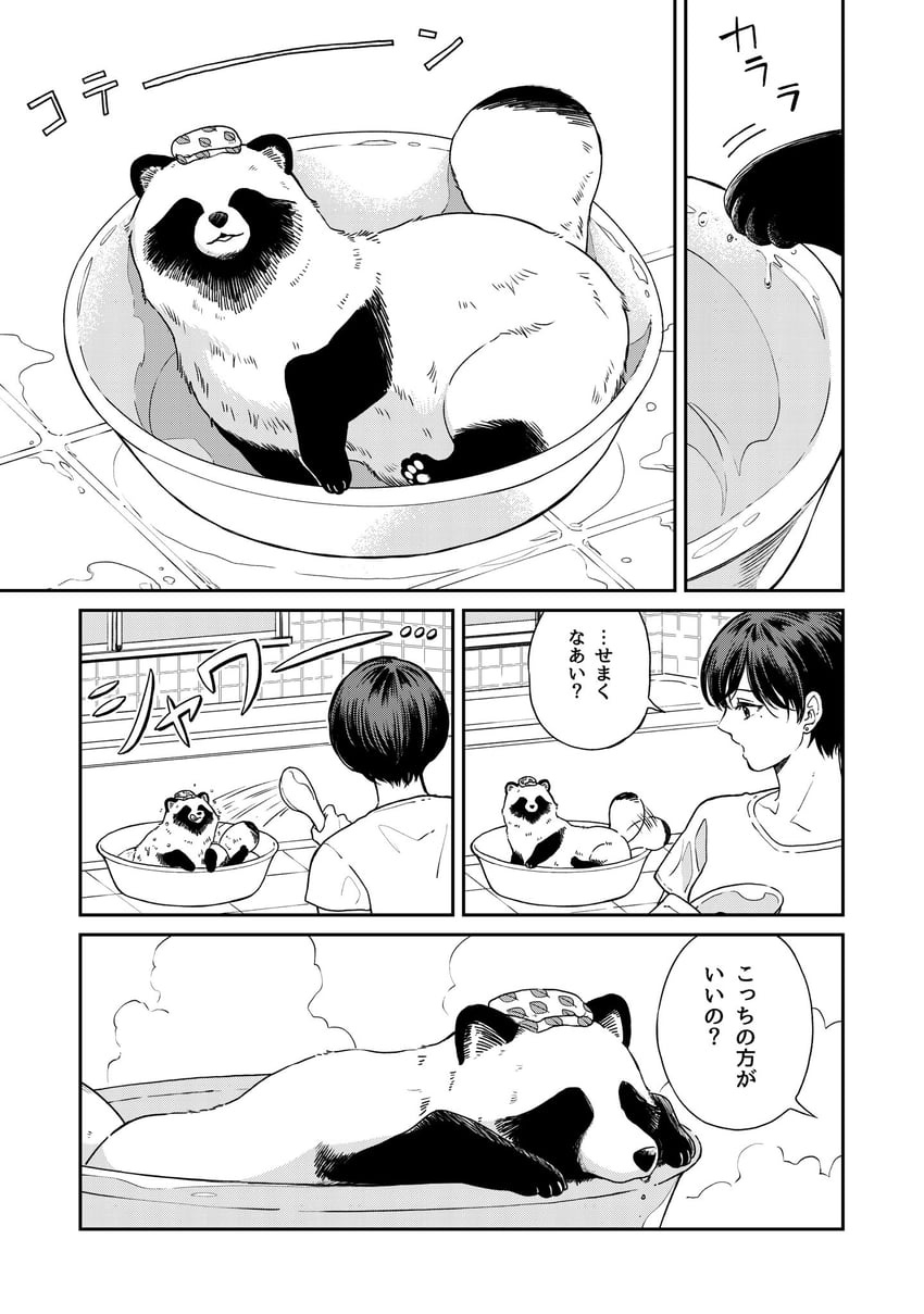 tanuki and fuji (ame to kimi to) drawn by nikaidou_kou