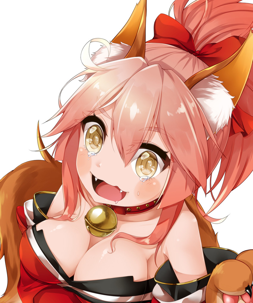 tamamo and tamamo cat (fate and 1 more) drawn by dani_(kamenoaru)