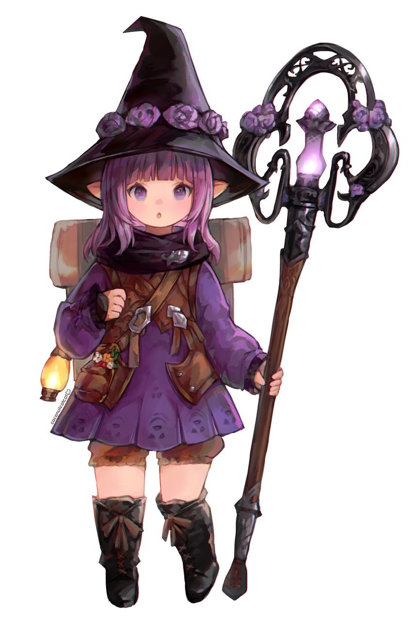 warrior of light and black mage (final fantasy and 1 more) drawn by coconutcatcat