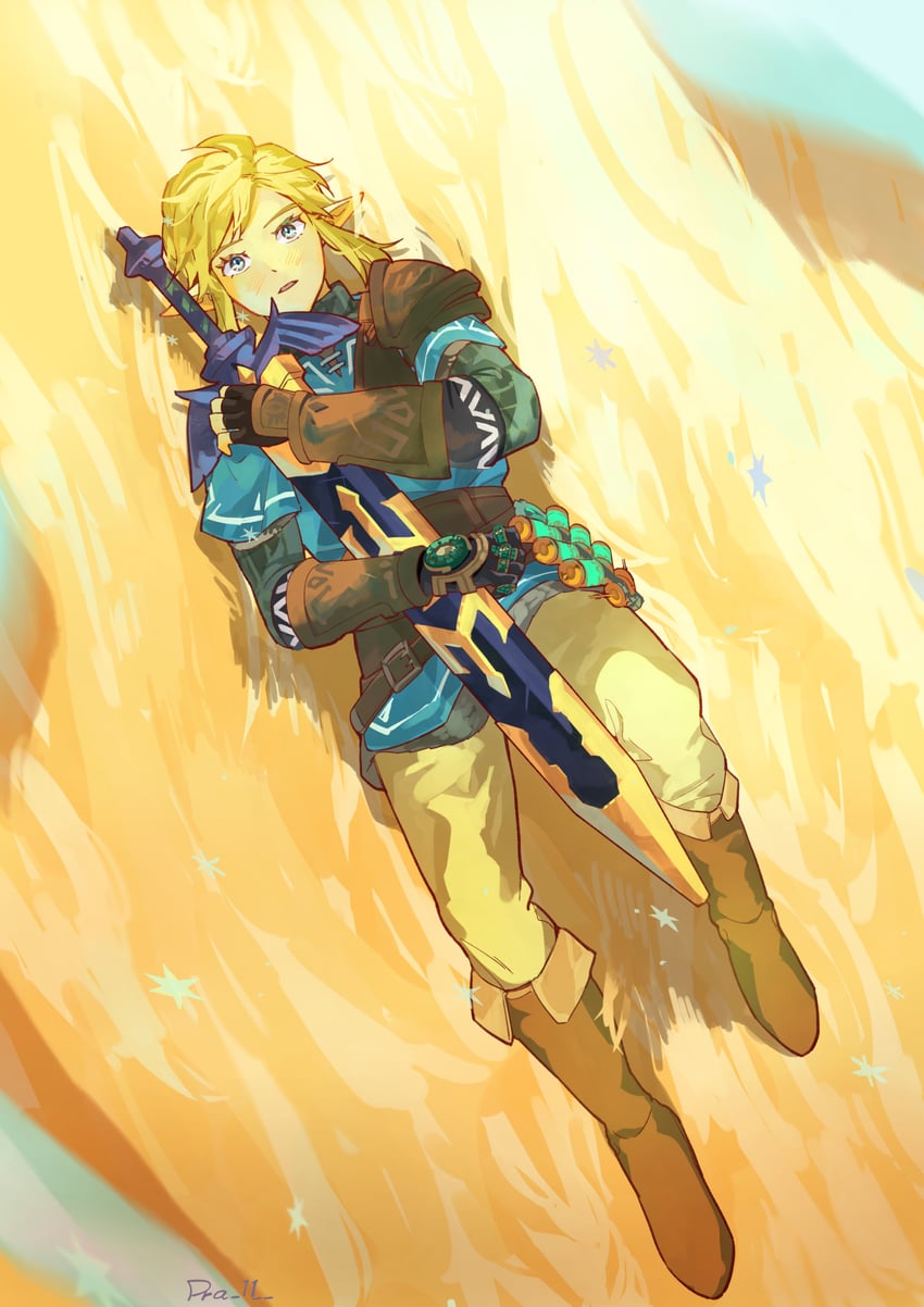 link (the legend of zelda and 1 more) drawn by pra_11