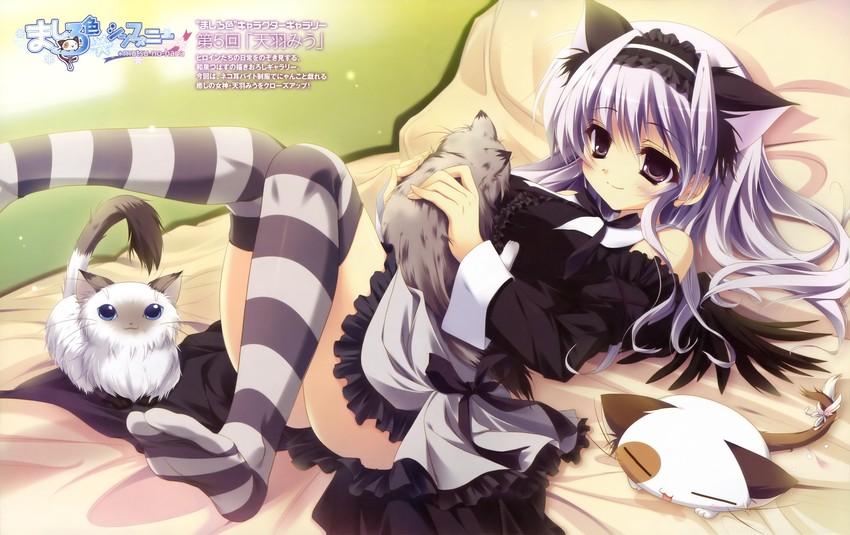 pan-nya and amaha miu (mashiroiro symphony) drawn by izumi_tsubasu