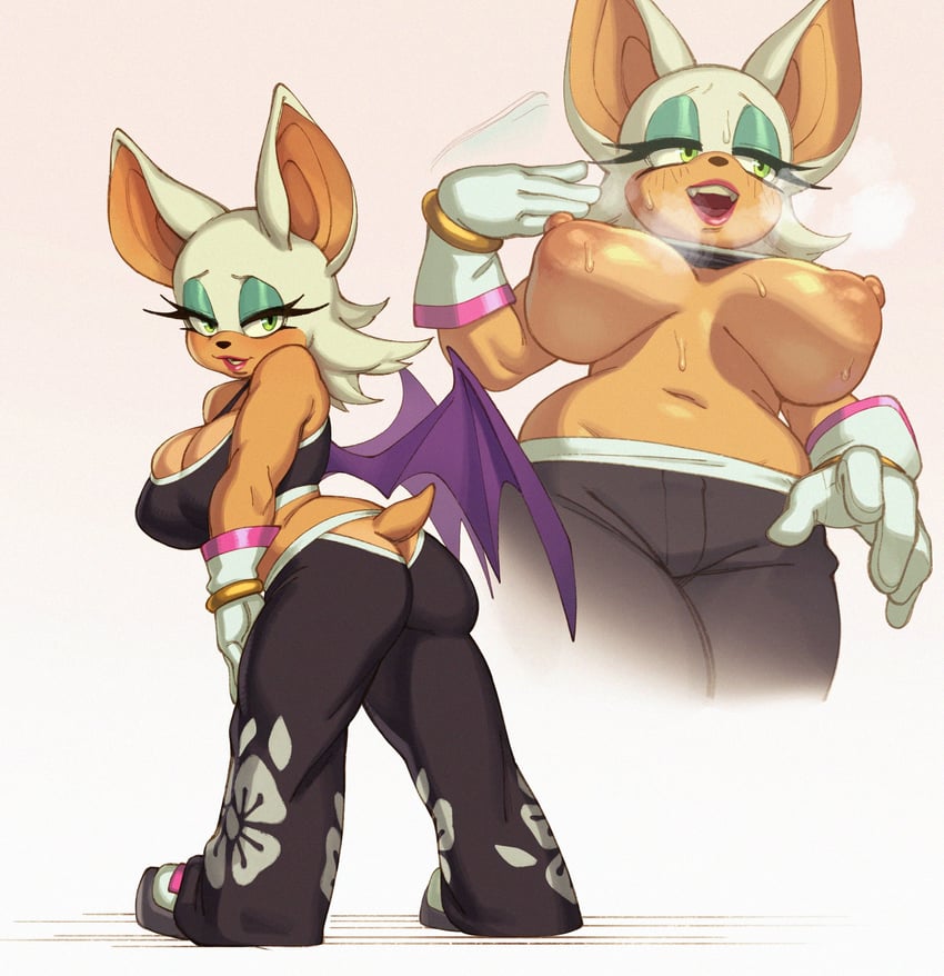rouge the bat (sonic and 1 more) drawn by riz