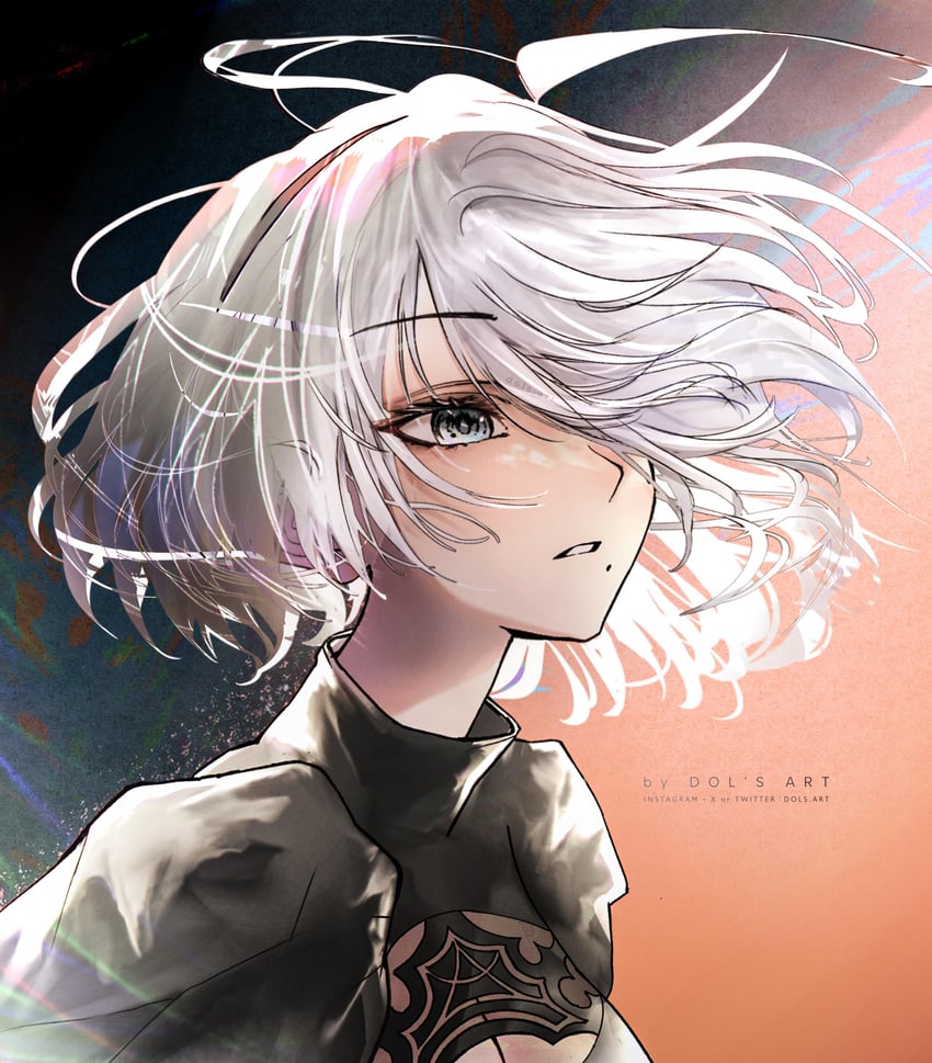 2b (nier and 1 more) drawn by dols_art
