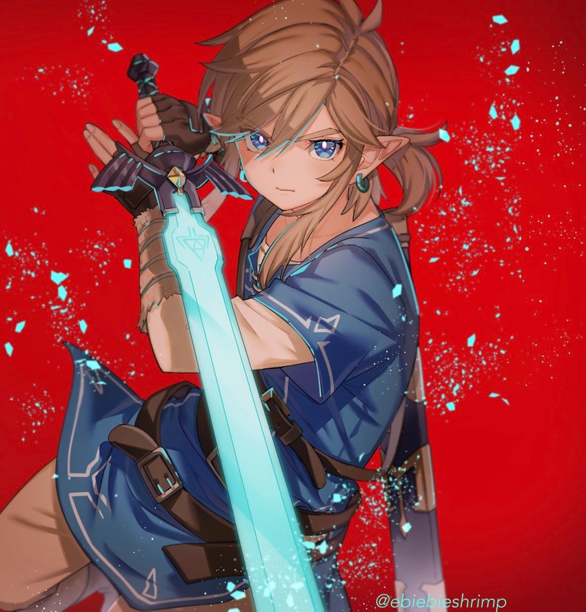 link (the legend of zelda and 1 more) drawn by shuri_(84k)