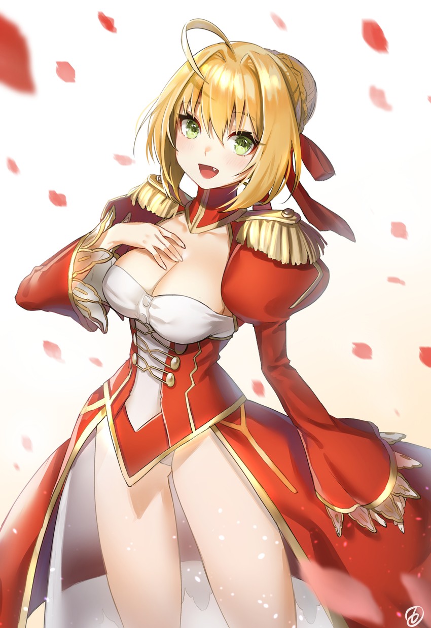 nero claudius (fate and 1 more) drawn by hieung