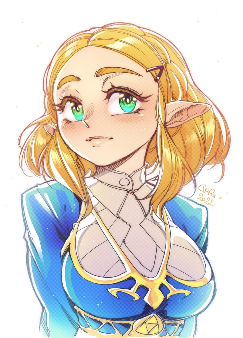 princess zelda (the legend of zelda and 1 more) drawn by gofa