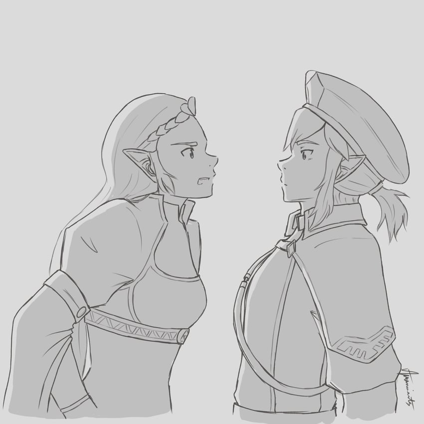 link and princess zelda (the legend of zelda and 1 more) drawn by amariaarts