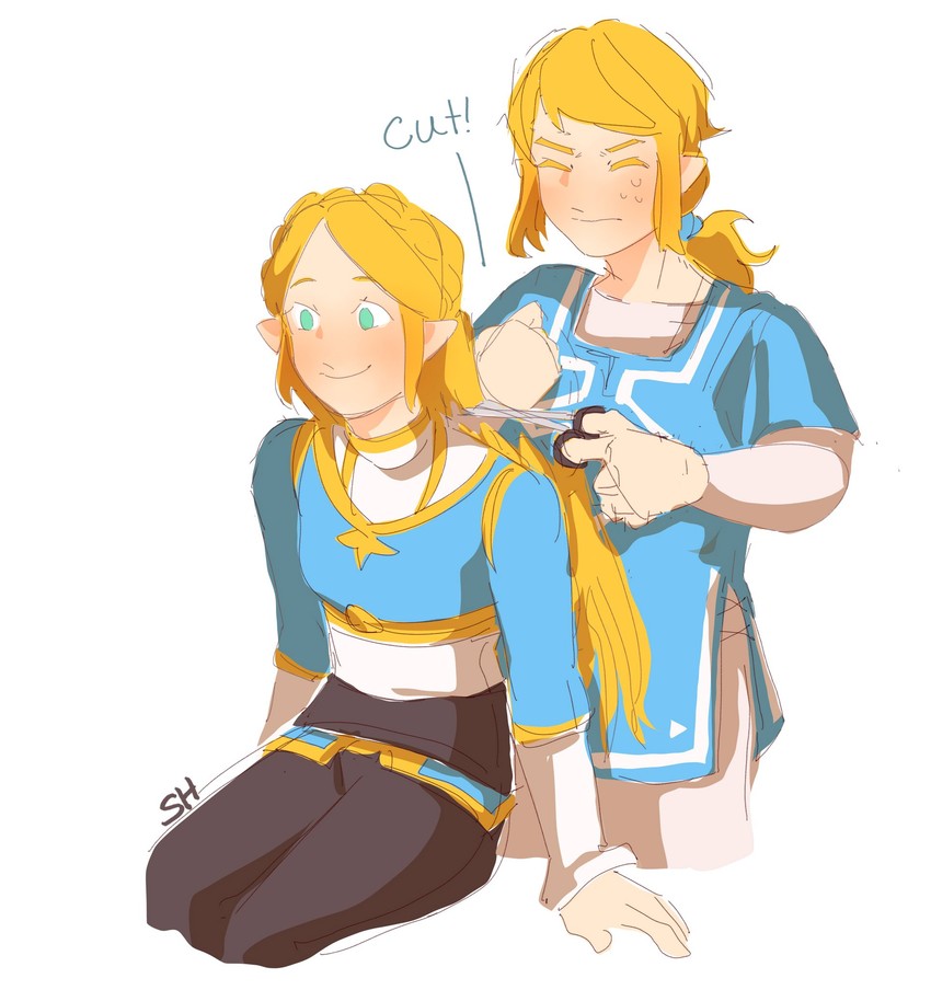 link and princess zelda (the legend of zelda and 2 more) drawn by shahaechan