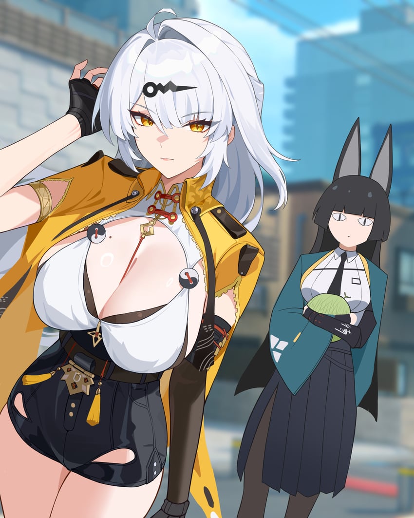 hoshimi miyabi and yixuan (zenless zone zero) drawn by peacekeeper.45