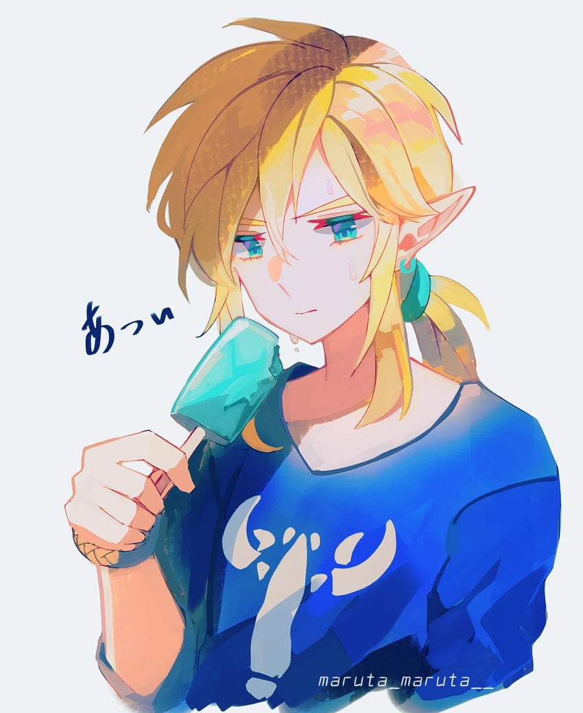 link (the legend of zelda and 1 more) drawn by maruta_maruta