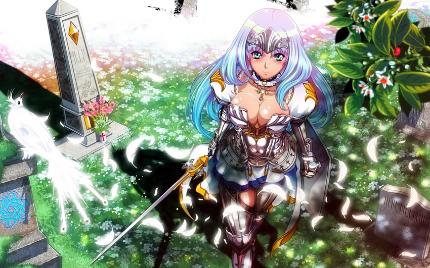 annelotte and knight princess annelotte (queen's blade and 1 more)