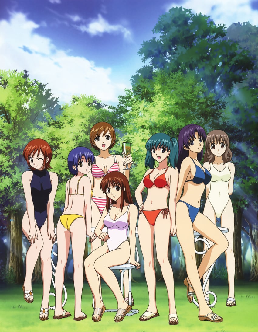 honjou mikaze, doi shizuha, kikuhara karin, nakamura ayamo, kisaragi sayaka, and 2 more (stratos 4) drawn by yamauchi_noriyasu