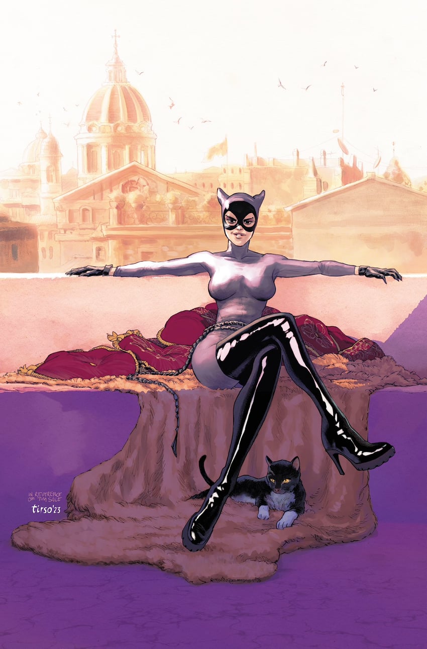 catwoman and selina kyle (dc comics and 1 more) drawn by tirso_cons