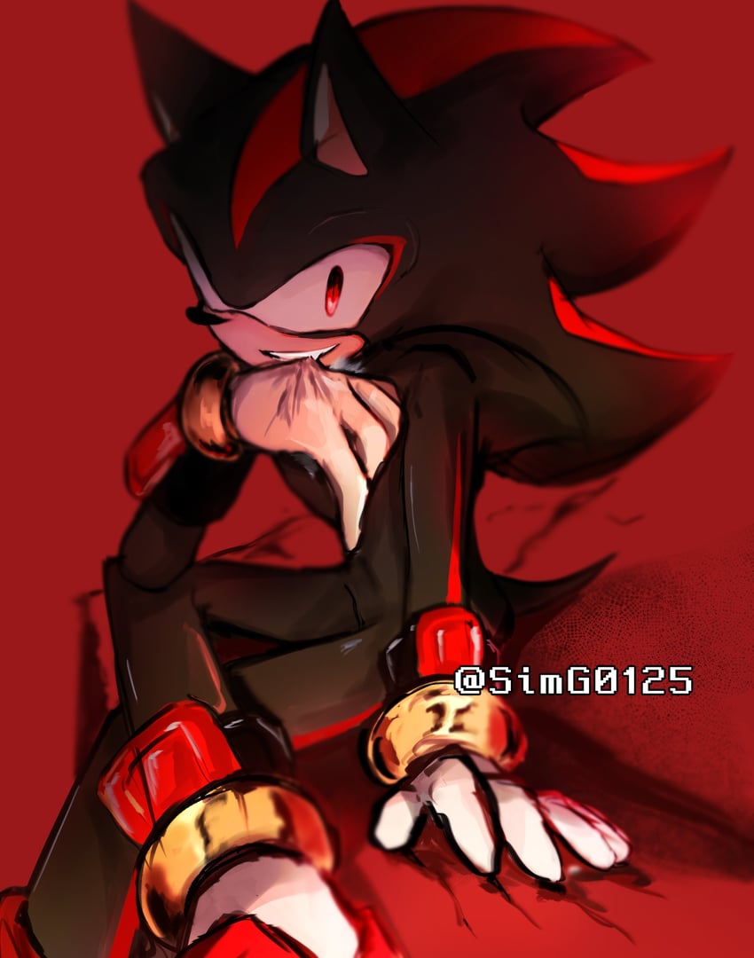 shadow the hedgehog (sonic) drawn by shapam_(zeepgalae)