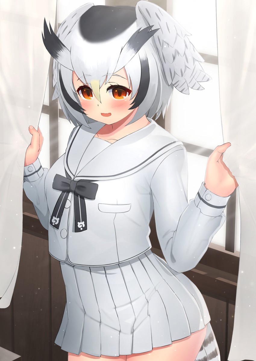 northern white-faced owl (kemono friends) drawn by deku_suke