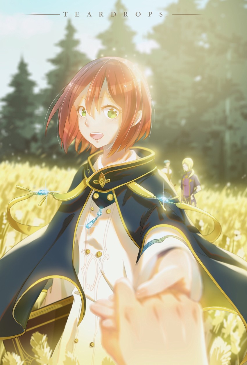 shirayuki, kiki seiran, and mitsuhide lowen (akagami no shirayukihime) drawn by teardrops_(user_vgvd7733)