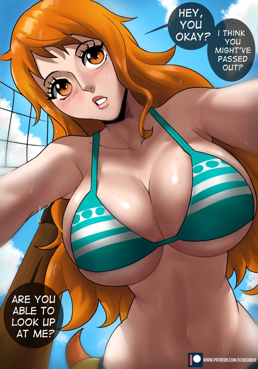 nami (one piece) drawn by echo_saber