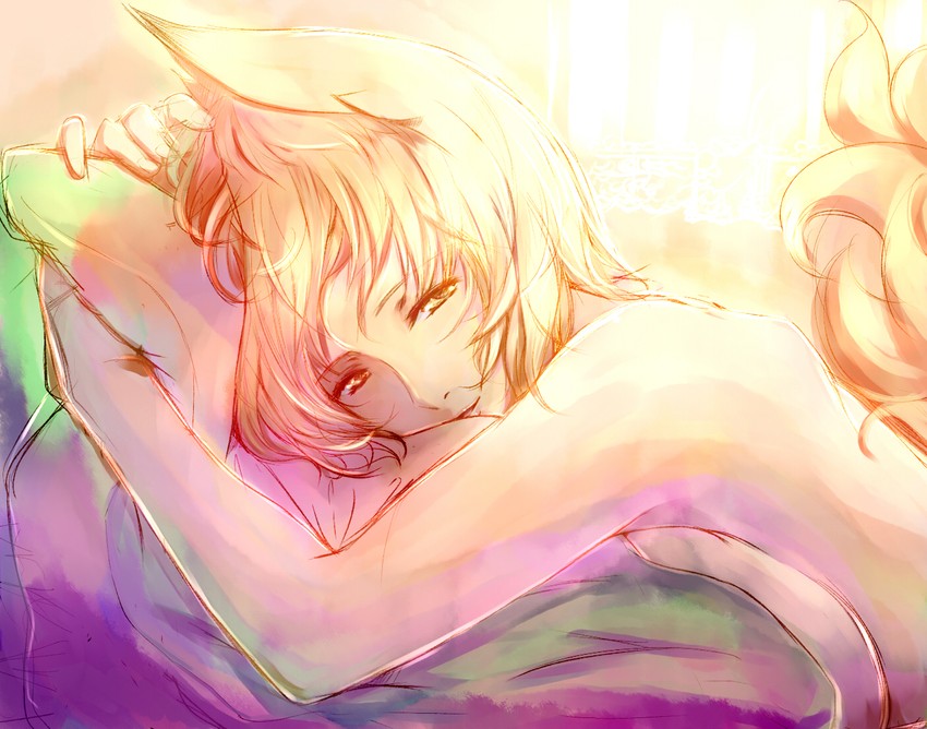 yakumo ran (touhou) drawn by dearmybrothers