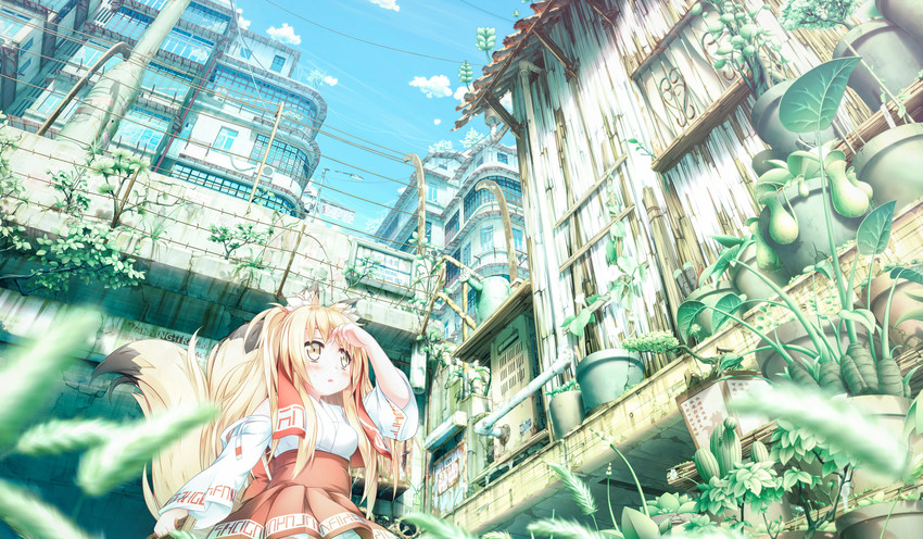 original drawn by shiro_dai_kitsune