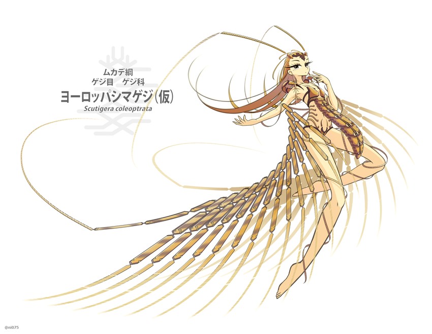 original drawn by jun075