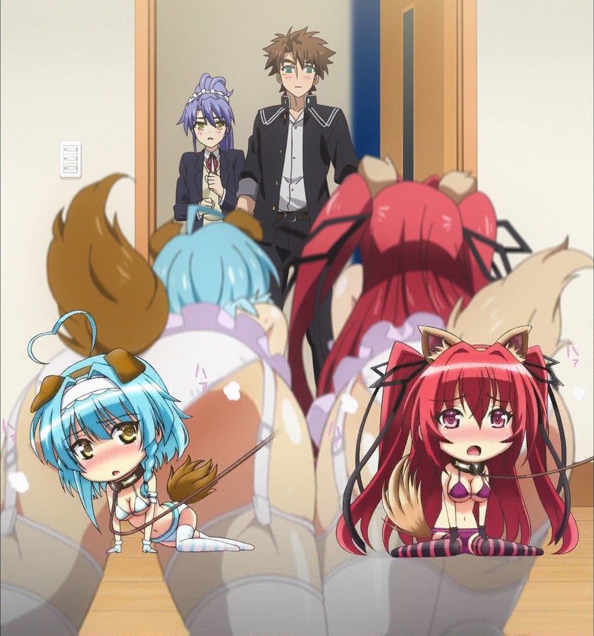 naruse mio, nonaka yuki, toujou basara, and nonaka kurumi (shinmai maou no testament)