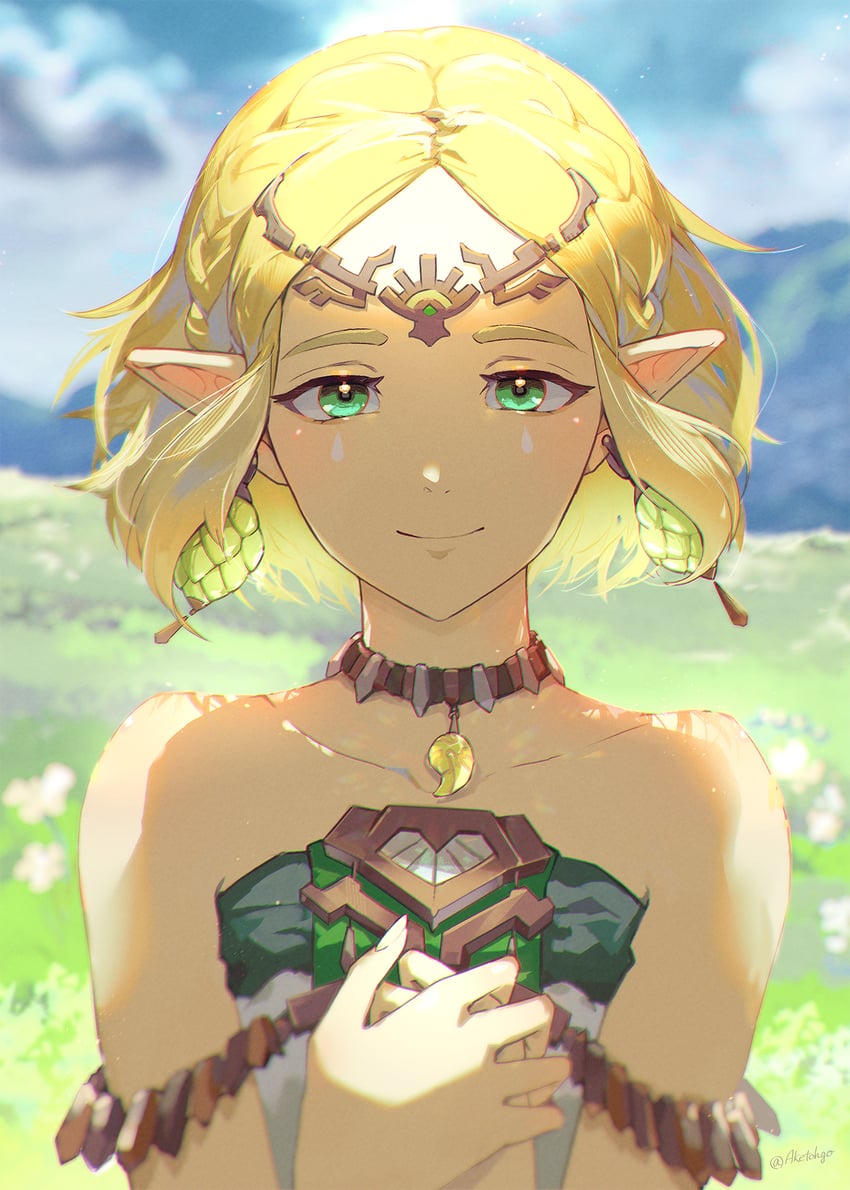 princess zelda (the legend of zelda and 1 more) drawn by aketohgo