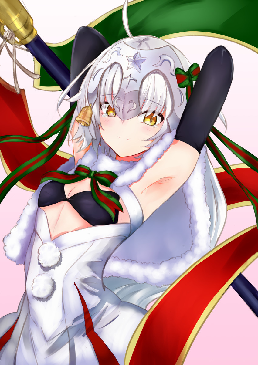 jeanne d'arc and jeanne d'arc alter santa lily (fate and 1 more) ...