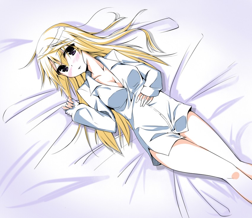 charlotte dunois (infinite stratos) drawn by hajime_(kin'you_club)