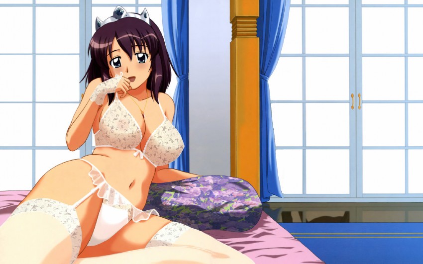 henrietta de tristain (zero no tsukaima) drawn by satou_chagashi