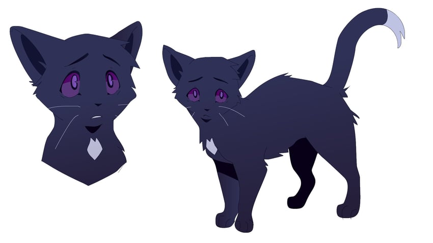 ravenpaw (warrior cats and 1 more) drawn by sam_(kyaptainkiddo)