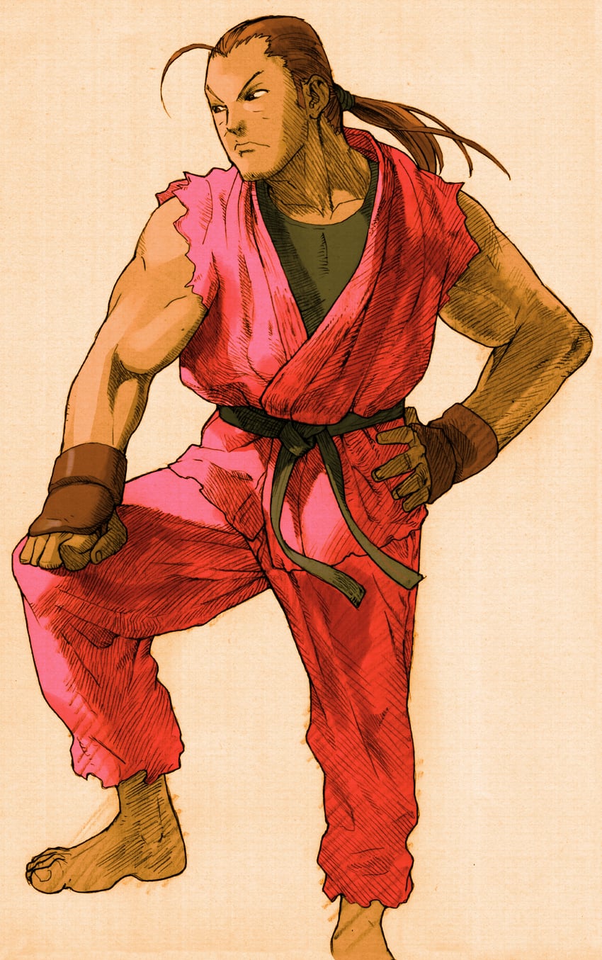 hibiki dan (street fighter and 4 more) drawn by bengus