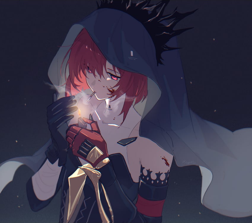 vera and vera: garnet (punishing: gray raven) drawn by mao_(expuella)