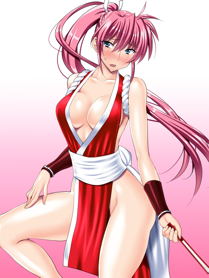 shiranui mai and signum (lyrical nanoha and 4 more) drawn by sen_(sansui)