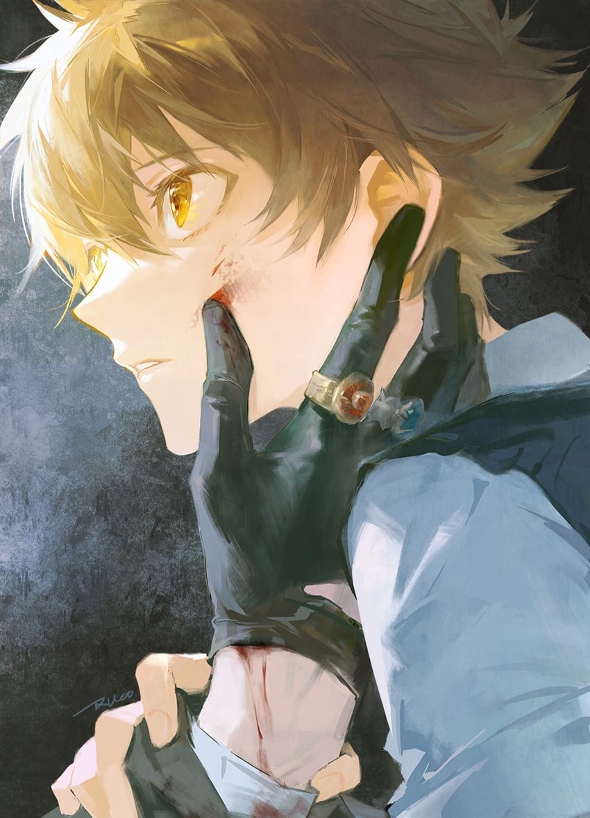 sawada tsunayoshi (katekyo hitman reborn!) drawn by ru_(famia)