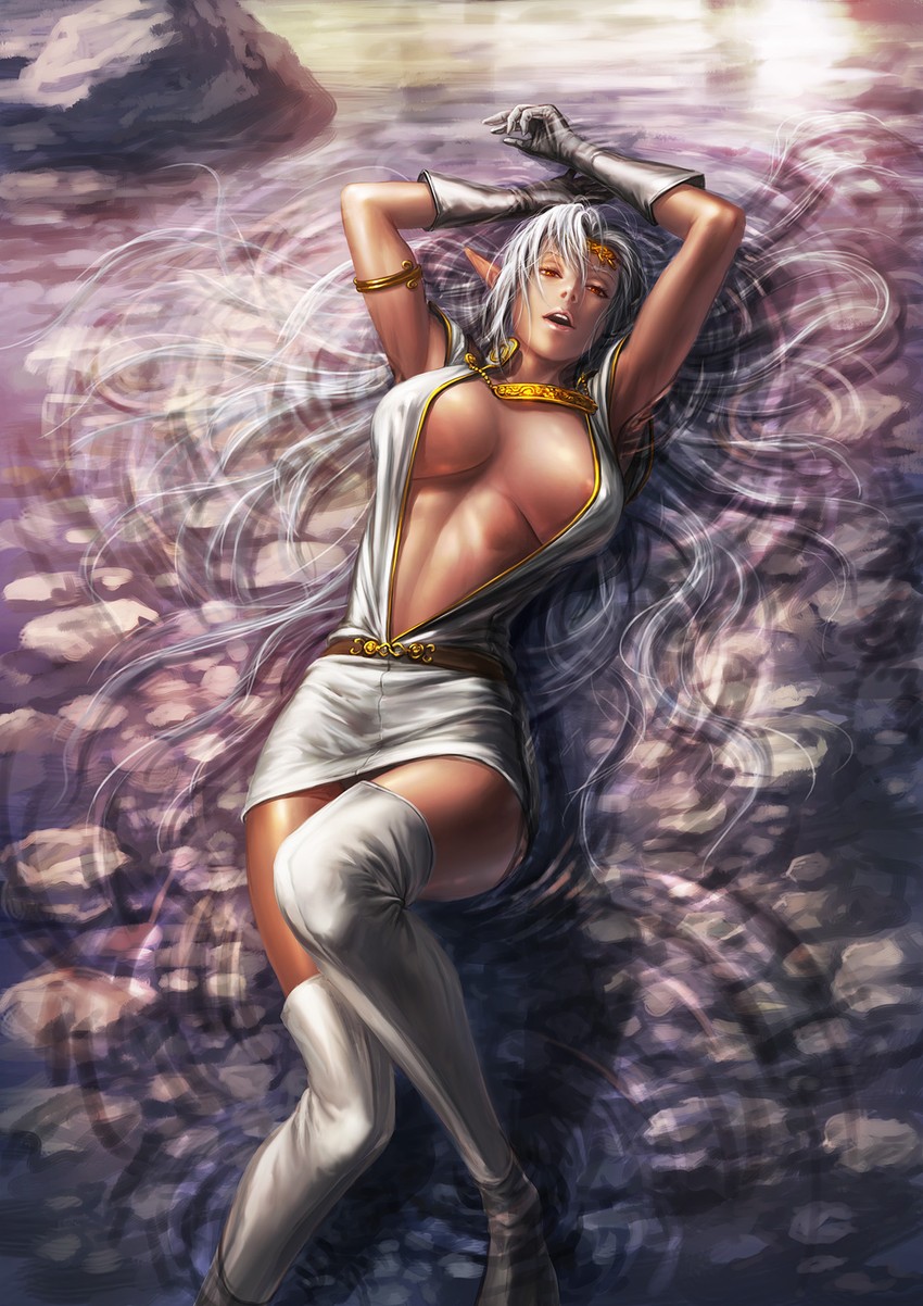 pirotess (record of lodoss war) drawn by fujii_eishun