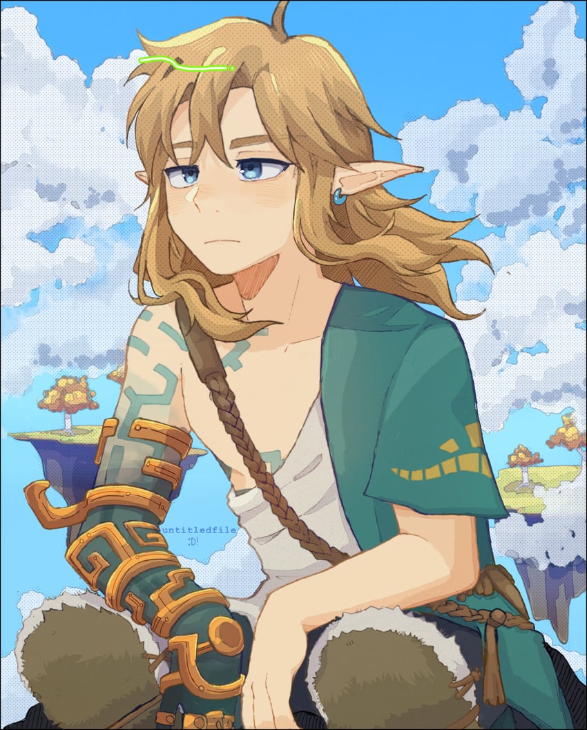 link (the legend of zelda and 1 more) drawn by untitledfile