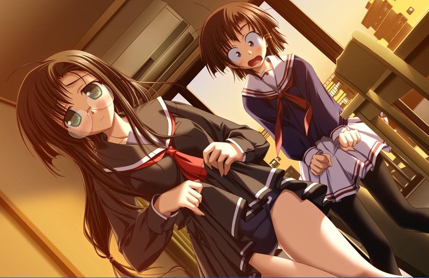 niiyama aoi and sagawa eriko (akiiro renka) drawn by tenmaso