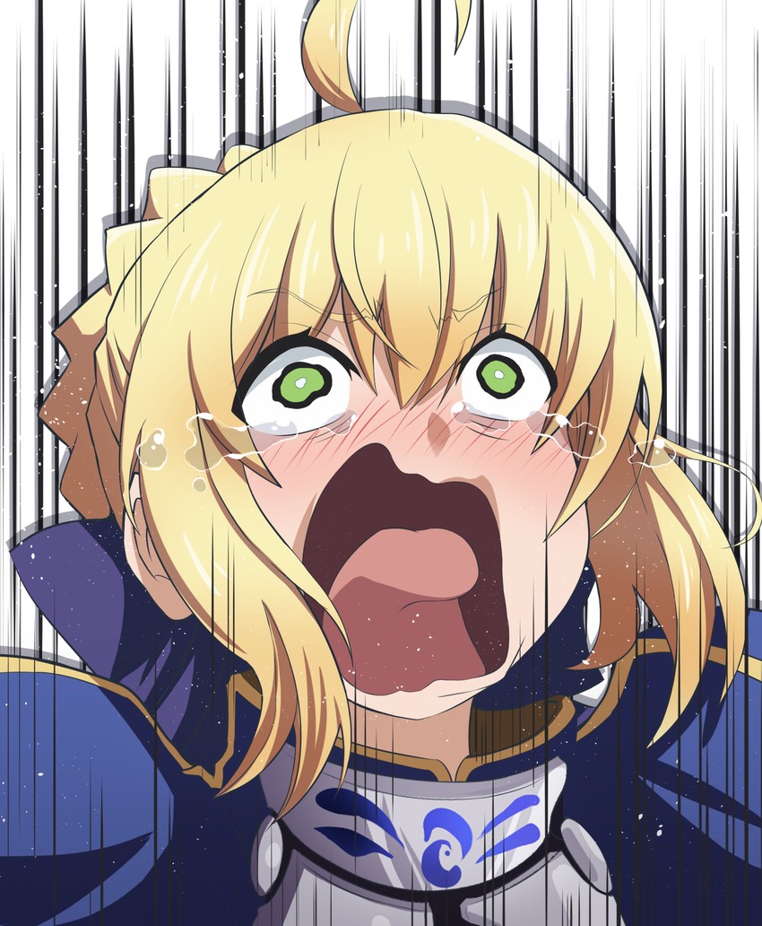 artoria pendragon and saber (fate and 1 more) drawn by fujitaka_nasu
