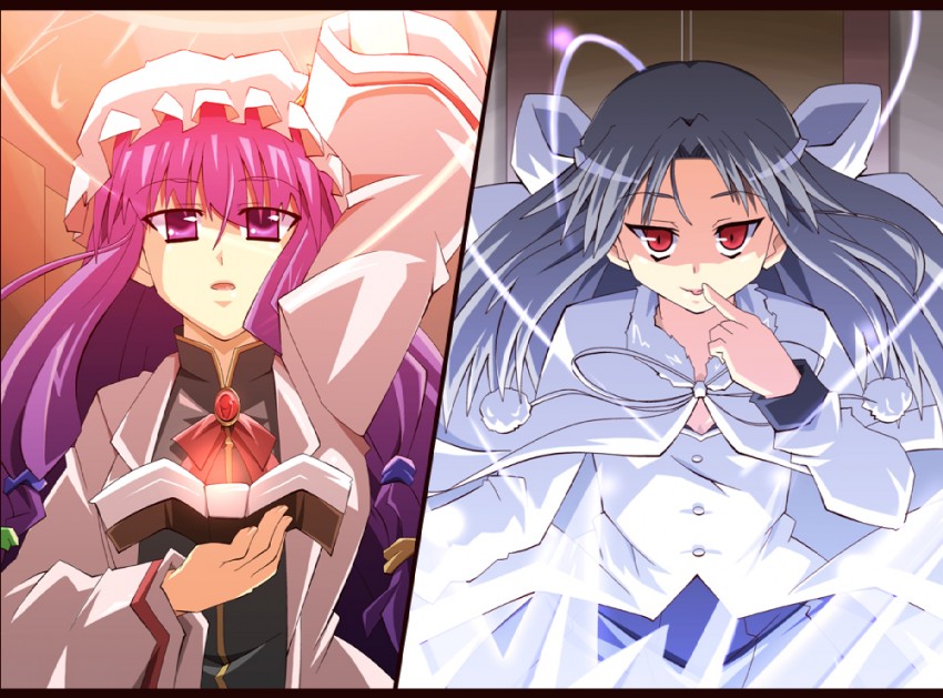 patchouli knowledge and white len (touhou and 2 more) drawn by shin'ya_(nanp)