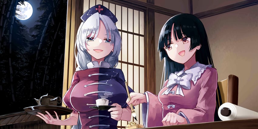 houraisan kaguya and yagokoro eirin (touhou and 1 more) drawn by deetamu